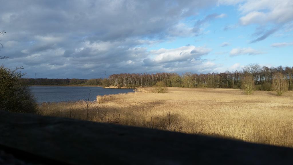 Вилла Aux Charmes De La Campagne Hautrage Экстерьер фото